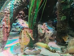 -沈阳海洋探索中心