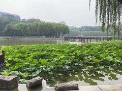 -中国农业博物馆