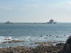 -烟台海昌鲸鲨海洋公园