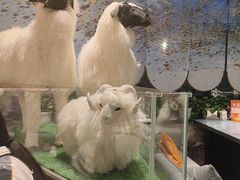 -百草滩羊清水涮羊肉·清真·宁夏盐池滩羊(莲花桥店)