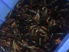 -老李烧烤(世贸南路店)