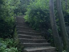 -黔灵山公园