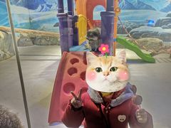 -华夏文旅海洋公园