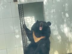 -广东茂名森林公园