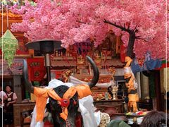 -吉祥圣雪藏餐