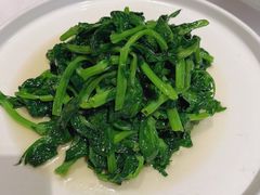 清炒豌豆尖-106餐厅(山水文园店)