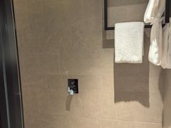 -新加坡瑞士史丹福酒店