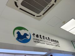 -中国农业大学动物医院