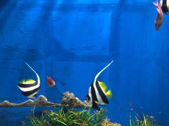 -福州罗源湾海洋世界旅游区