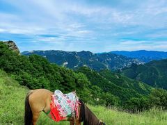 -灵山
