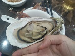 -蚝专家(北滘店)