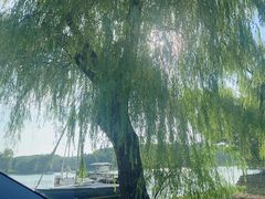 -上海美帆帆船露营基地