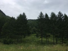 -塞罕坝国家级自然保护区