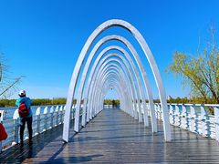 -大兴滨河森林公园