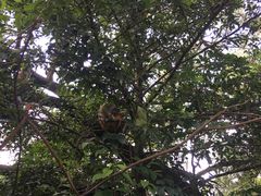 -狮子山郊野公园
