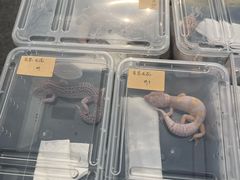 -万达广场(松江店)