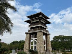 -大湾区中央湿地公园