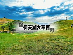 -仰天湖大草原