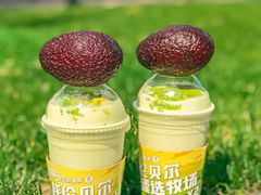 -茉酸奶(春熙路店)
