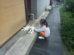 -正阳书局(西四南大街店)