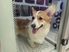 -FAELING PETS美天灵宠物(富力广场店)