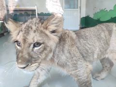 -大连森林动物园