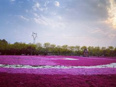 -石家庄市植物园