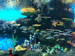 -华夏文旅海洋公园