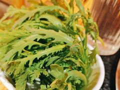 -京炭铜锅涮肉·羊蝎子·羊肉炉(保利·时光里店)