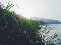 -朝阳正码头