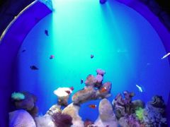 -左海海底世界