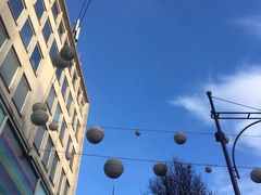 -文兴酒家(Chinatown - Gerrard Street)