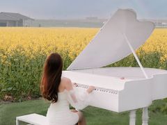 -杭州湾海上花田景区