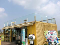 -空港花田景区