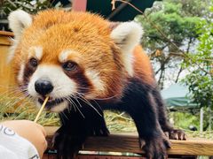 -云南野生动物园