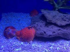 -常州海昌海洋探索馆