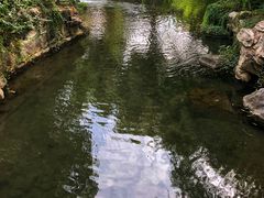 -济南富力凯悦酒店