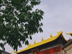 -西安市广仁寺