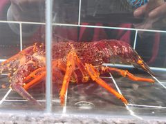 -宴周康·精致江浙菜(周浦店)