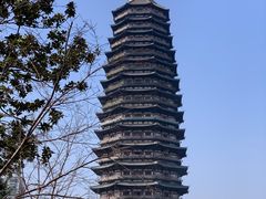 -红梅公园