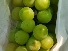 -马陆小张葡萄园农家乐