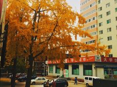 -山西医科大学(迎泽校区)