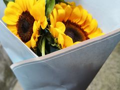 -沈坚强游泳俱乐部(长征分部)