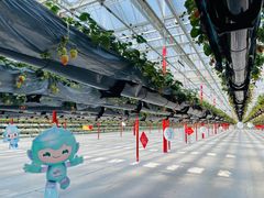 -建德果蔬乐园绪塘草莓基地