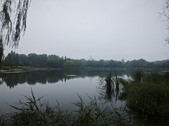 -北坞公园