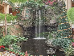 -广州白天鹅宾馆