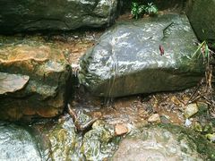 -天门沟九州驿站树上汤泉