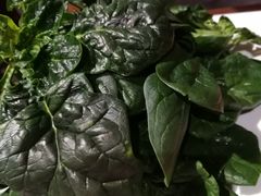 -巴奴毛肚火锅(安阳相州店)