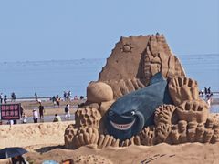 -日照海滨国家森林公园