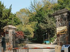 -紫金山天文台
